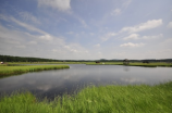 湿地中国：水的精品，生态的瑰宝