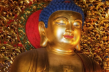 龙泉寺事件(龙泉寺事件后，重塑佛教形象迫在眉睫！)